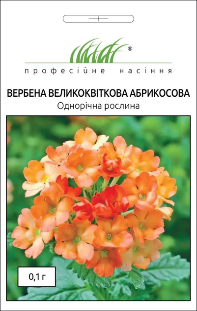 Семена Вербена Абрикосовая, крупноцветковая, 0,1 г (Hem Zaden) – фото ...