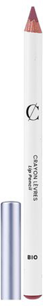 Олівець для губ Couleur Caramel Brush Perfilador Labial 20 Vegan 2. 5 г (3662189604799) - зображення 1