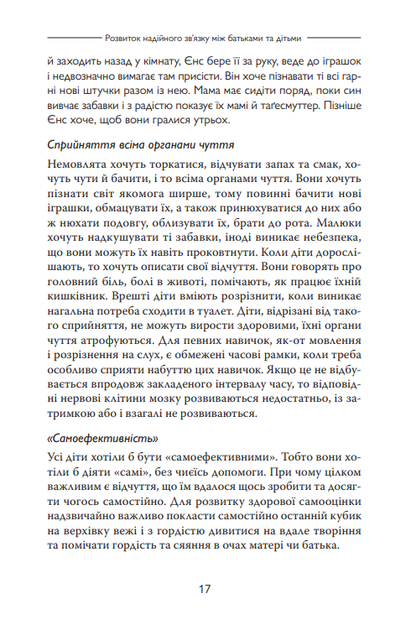 Карл Гайнц Бріш. Safe® Надійна освіта для батьків - Фото 9 Карл Гайнц Бріш. Safe® Надійна освіта для батьків - зображення 9