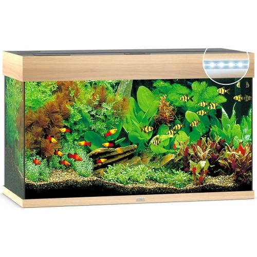 Акваріум Juwel Rio 125 LED прямий, 81х50х36 см, 125 л - Фото 1 Акваріум Juwel Rio 125 LED прямий, 81х50х36 см, 125 л - зображення 1