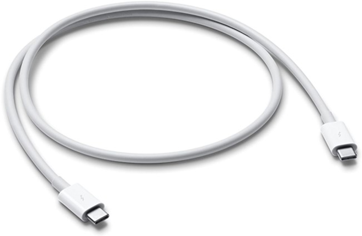 Kabel Apple USB-C - USB-C (Thunderbolt 3) 0.8 m (190198442024) - obraz 1