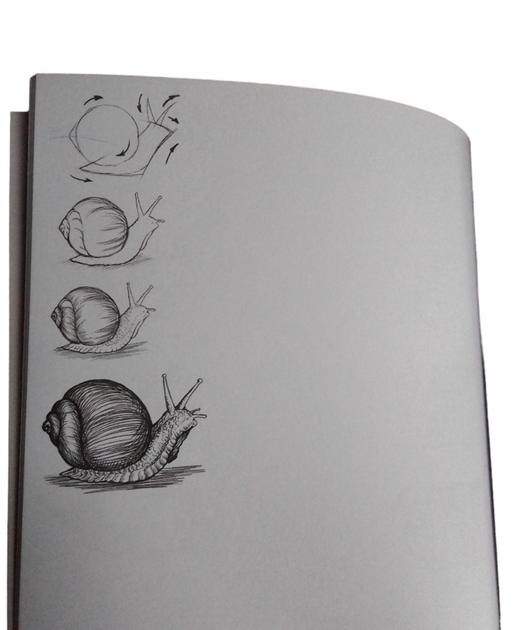 Скетч Бук Sketch Book – фото, отзывы, характеристики в интернет ...