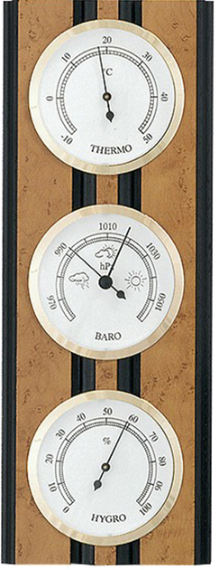 Метеостанция Moller 203979 Birdseye Maple - изображение 1