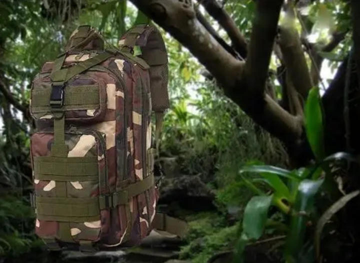 Тактичний рюкзак Woodland 28л із системою Molle поліестер 600D (28501) Kali - зображення 2