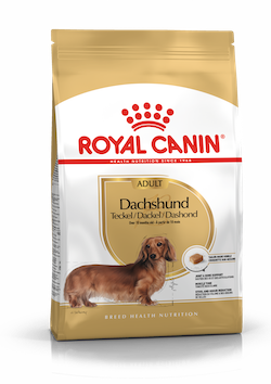 Сухий корм Royal Canin Dachshund Adult для собак породи Такса 1.5 кг (арт 3059015) - Фото 1 Сухий корм Royal Canin Dachshund Adult для собак породи Такса 1.5 кг (арт 3059015) - зображення 1