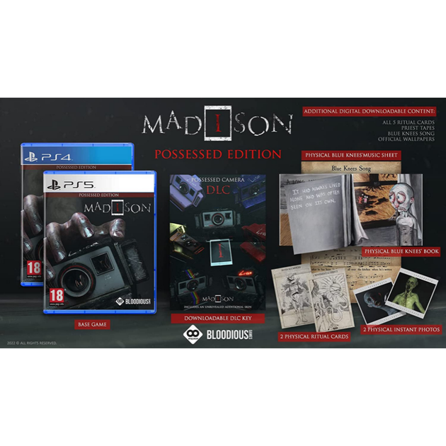 Игра MADiSON Possessed Edition для PS4 (диск Blu-ray) - изображение 2