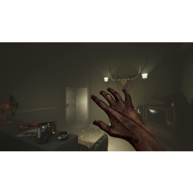 Игра MADiSON Possessed Edition для PS4 (диск Blu-ray) - изображение 4