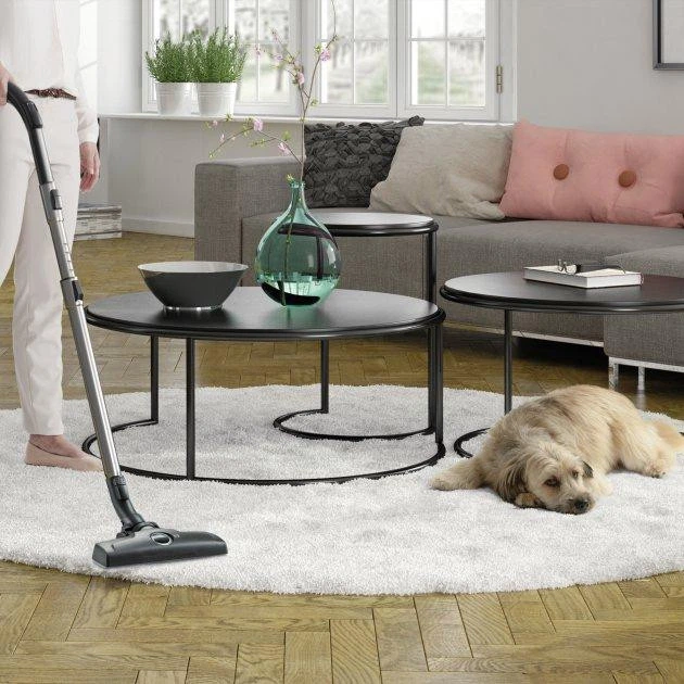 Пылесос без мешка Electrolux ESPC71DB - изображение 4