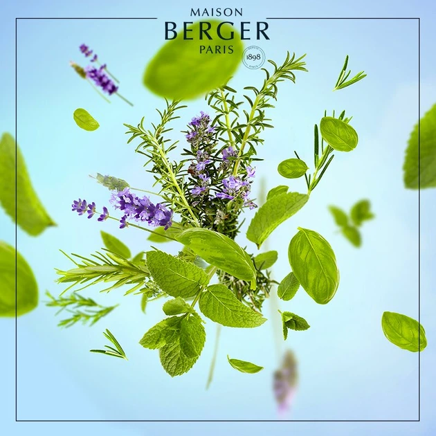 Наповнювач (ультразвуковий дифузор) Maison Berger AROMA FOCUS: Aromatic Leaves 475мл. (6492-BER) - зображення 2