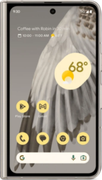 Мобильный телефон Google Pixel Fold 12/256GB Porcelain JP