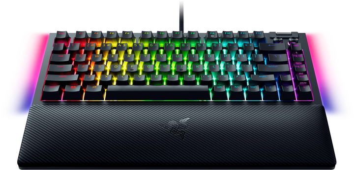 Клавиатура проводная Razer BlackWidow V4 75% Black (RZ03