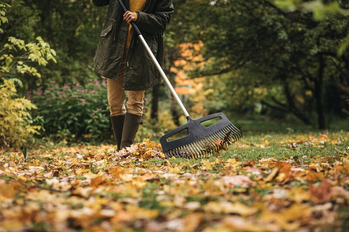 Grabie do zbioru liści Fiskars Xact XXL 615 mm (1027036) - obraz 4