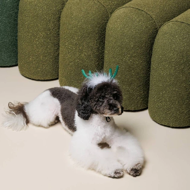 Ріжки для собак Pet Fashion Deer XS-S - Фото 4 Ріжки для собак Pet Fashion Deer XS-S - изображение 4