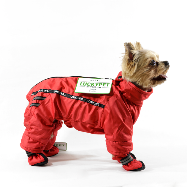 Lucky Pet Комбинезон Фокс для породы Мопс красный M2 №1, 28 х 60 см - Фото 4 Lucky Pet Комбинезон Фокс для породы Мопс красный M2 №1, 28 х 60 см - изображение 4