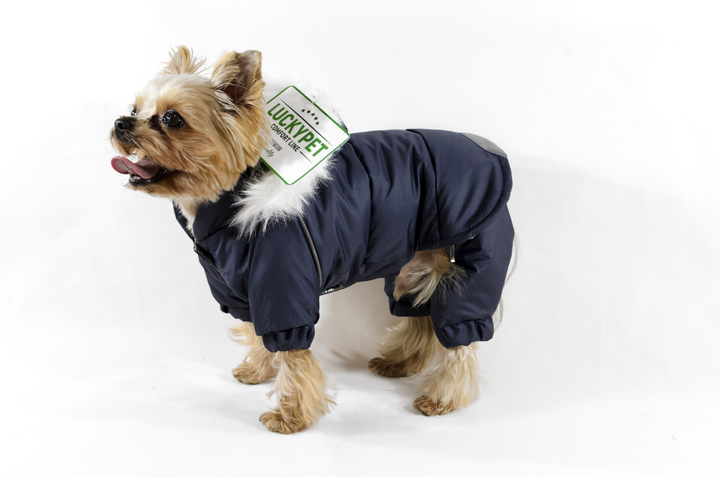 Lucky Pet Костюм Соло синий M №0, 25 х 40 см - Фото 3 Lucky Pet Костюм Соло синий M №0, 25 х 40 см - изображение 3