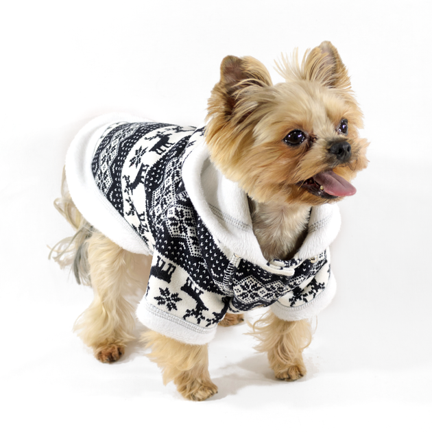 Lucky Pet Толстовка для породы Мопс Рубик M2 №1, 28 х 60 см - Фото 3 Lucky Pet Толстовка для породы Мопс Рубик M2 №1, 28 х 60 см - изображение 3