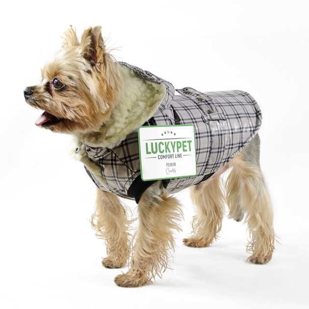 Lucky Pet Жилет Живчик для породы Йорк серый M №1, 28 х 40 см - изображение 3