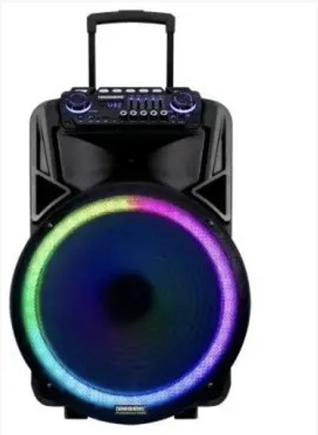 Колонка аккумуляторная с радиомикрофонами караоке TMG ORIGINAL ...