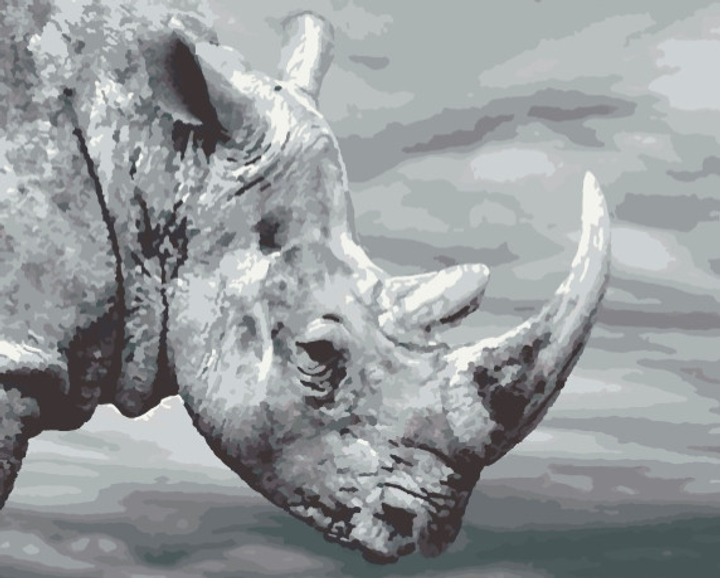 Раскраска носорога.