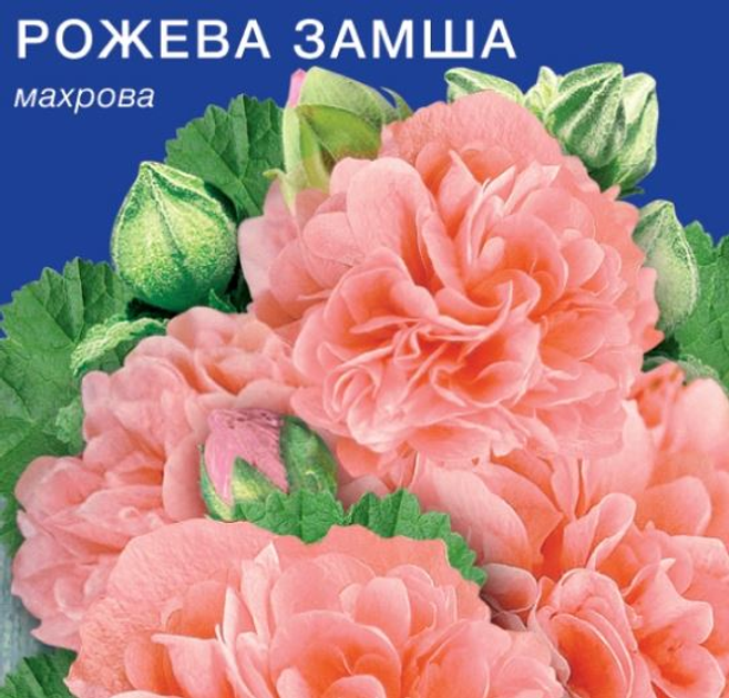 Насіння мальви Рожева замша Gl Seeds 0,3 г – фото, відгуки ...