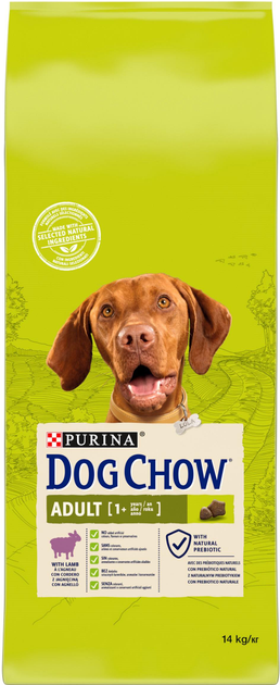 Sucha karma dla dorosłych psów Purina Dog Chow z jagnięciną 14 kg (8445290813442) - obraz 1