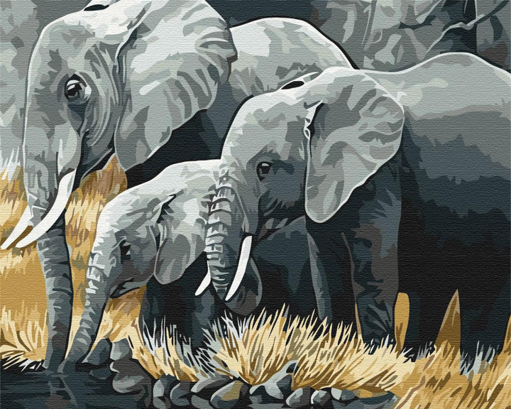 Семья слонов Раскраска (картина) по номерам на холсте Iteso IT-A355