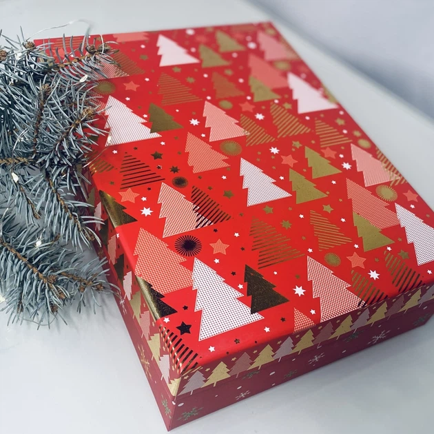 Новорічний дитячий подарунковий набір для малюка Gift HUB Бебі бокс для новонародженої дівчинки чи хлопчика 3-6 міс Б261 - зображення 4
