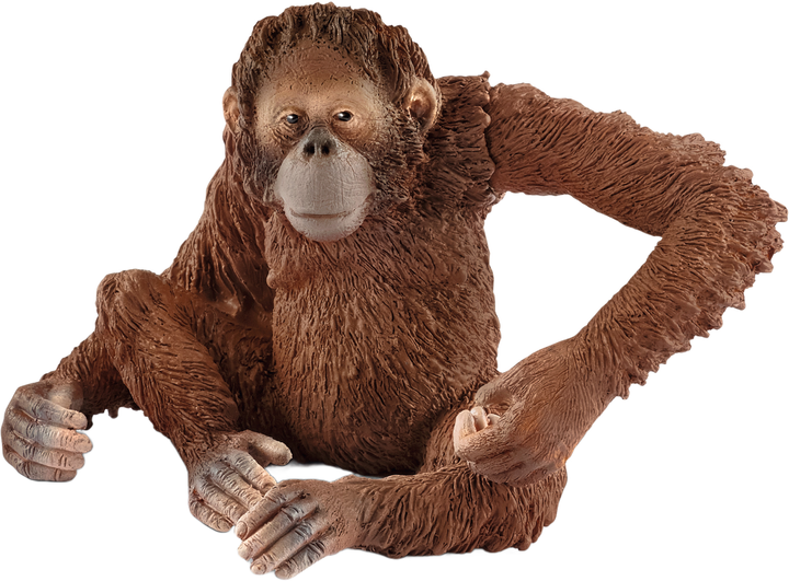 Іграшка-фігурка Schleich Самка орангутанга 5 см (4055744012679 - зображення 1