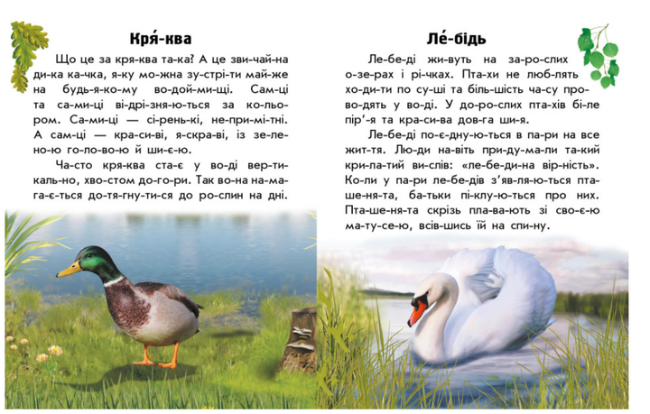 Читаю об Украине Животные рек и морей Книга для самостоятельного чтения Ранок - Фото 4 Читаю об Украине Животные рек и морей Книга для самостоятельного чтения Ранок - изображение 4