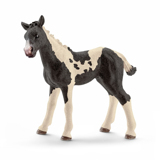 Figurka Schleich Farm World Pinto Foal 8 cm (4059433322650) - obraz 1