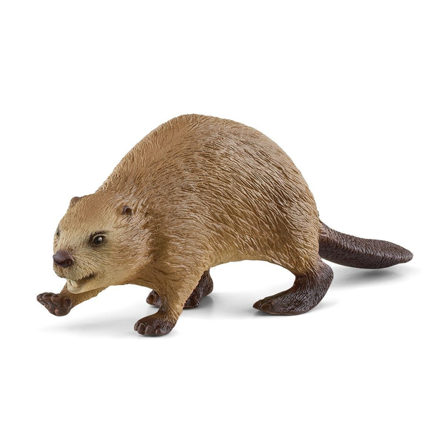 Figurka Schleich Wild Life Beaver 3.5 cm (4059433692203) - obraz 1