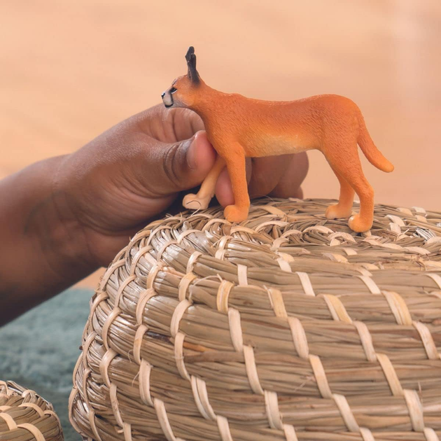 Фігурка Schleich Wild Life Caracal Female 6.1 см (4059433637693) - зображення 5