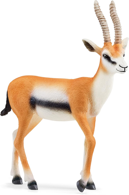 Figurka Schleich Wild Life Thomson Gazelle 9.7 cm (4059433543765) - obraz 1