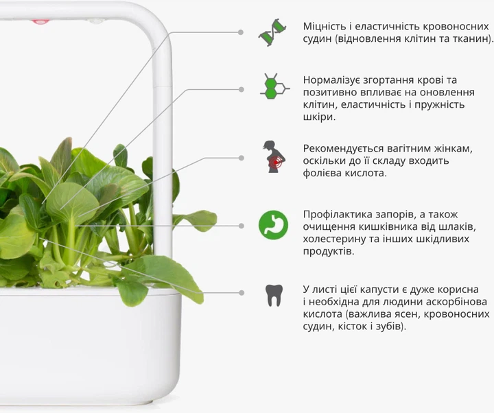 Wymienny wkład Click&Grow Bok Choy 3 szt (4742793009131) - obraz 6