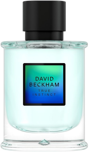 Woda toaletowa męska David Beckham True Instinct 75 ml (3616304895685) - obraz 1