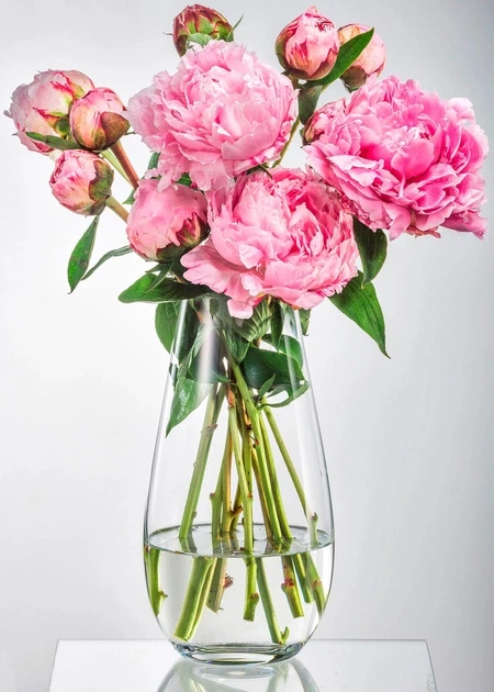 Ваза Bohemia Crystal 24.5 см (b82237/245) - Фото 2 Ваза Bohemia Crystal 24.5 см (b82237/245) - изображение 2