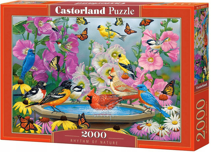 Puzzle Castor Ptaki Rytm natury 2000 elementów (5904438200818) - obraz 1