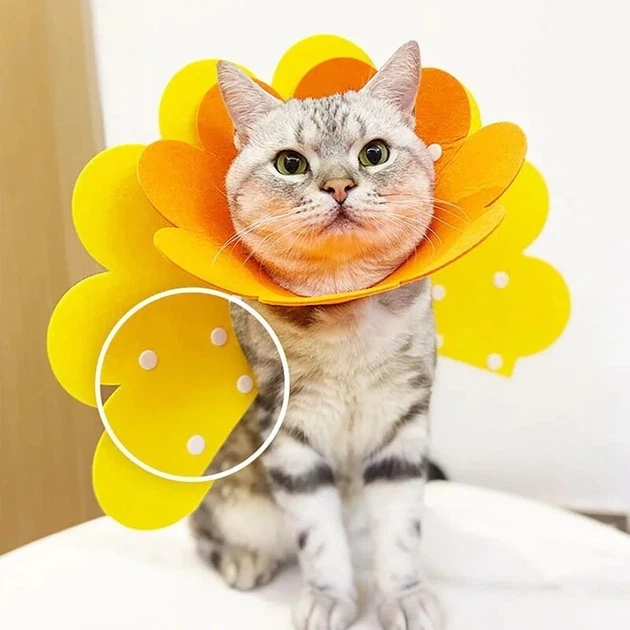 Воротник-ошейник "для заживления ран" для собак и кошек Yellow Flower Size S - изображение 6