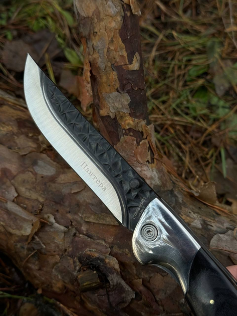 Складной нож Lion Knives Пантера 21 см - изображение 2