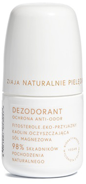 Dezodorant Ziaja Naturalnie Pielęgnujemy ochrona anti-odor 60 ml (5901887053057) - obraz 1