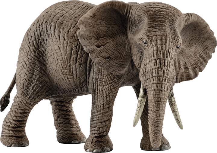 Игрушка-фигурка Schleich Африканская слониха 8 см (4005086147614 ...