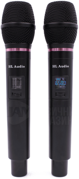 Радіосистема HL Audio DG-2000 (40672) - зображення 2