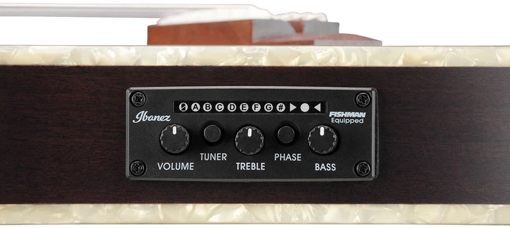 Классическая гитара Ibanez TOD10N-BKF - Фото 9 Классическая гитара Ibanez TOD10N-BKF - изображение 9