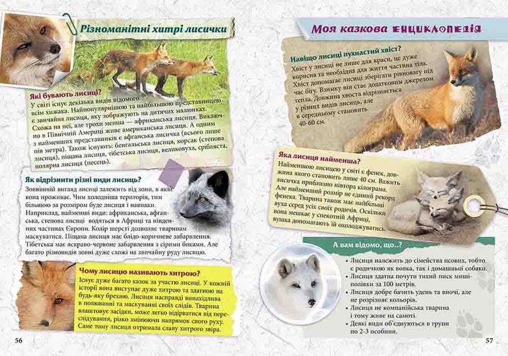 Моя казкова енциклопедія. Про тварин (9786177661619) - изображение 4