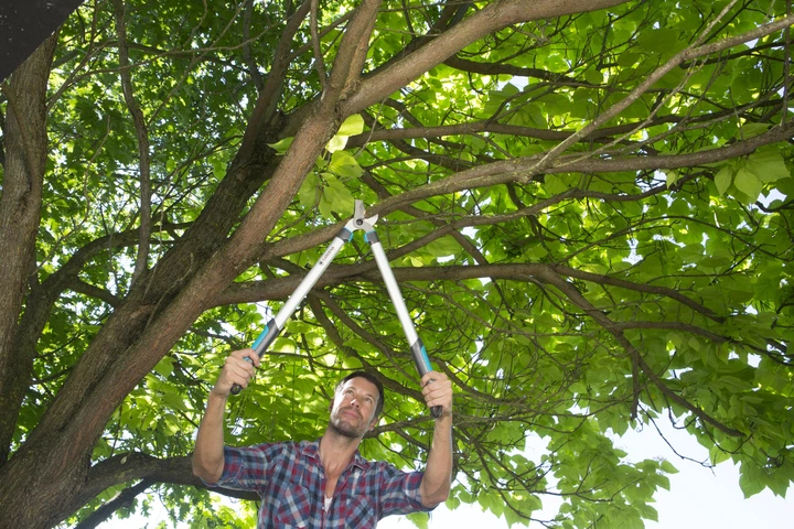 Гілкоріз Gardena EasyCut 680B (12003-20.000.00) - Фото 5 Гілкоріз Gardena EasyCut 680B (12003-20.000.00) - зображення 5