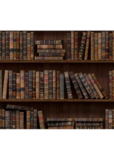 Вінілова наклейка на холодильник Книжкова шафа плівка коричневий фон книги глянцева 650*2000 мм - зображення 4