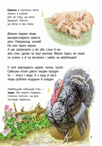 Енциклопедія дошкільника. Тварини - Каспарова Юлія Вадимівна (9786170928344) - изображение 7