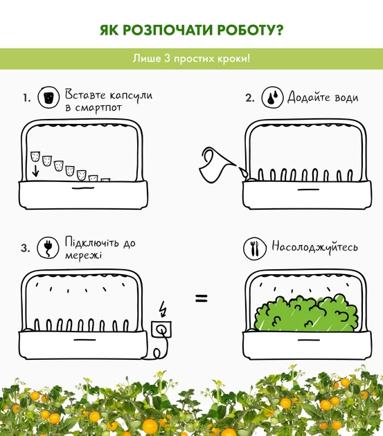 Wkład wymienny Click&Grow żółte mini pomidory 3 kapsułki (4742793009124) - obraz 3