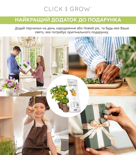 Wkład wymienny Click&Grow żółte mini pomidory 3 kapsułki (4742793009124) - obraz 4