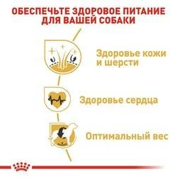 Сухой корм для собак Royal Canin Golden Retriever Adult для породы Золотистый ретривер от 15 месяцев 12 кг - Фото 3 Сухой корм для собак Royal Canin Golden Retriever Adult для породы Золотистый ретривер от 15 месяцев 12 кг - изображение 3